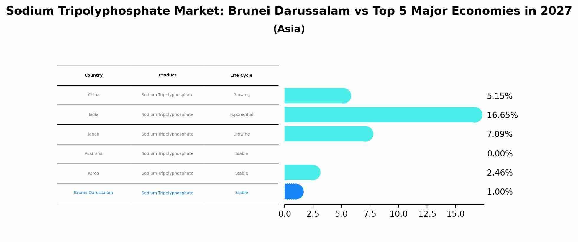 Sodium Tripolyphosphate Market: Brunei Darussalam vs Top 5 Major Economies in 2027 (Asia)