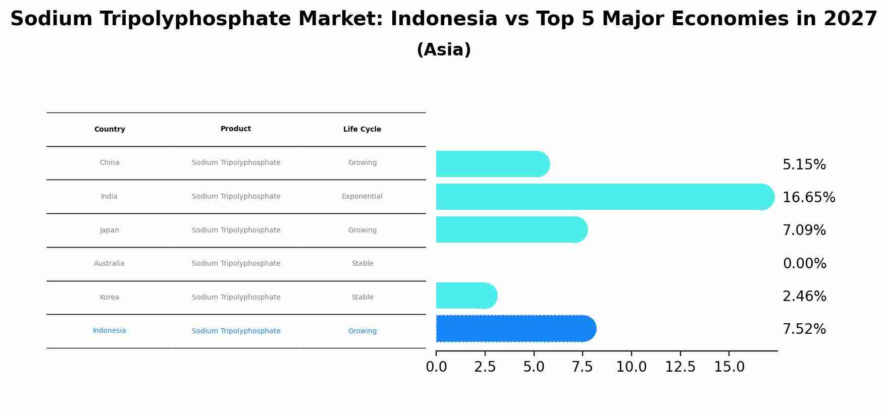 Sodium Tripolyphosphate Market: Indonesia vs Top 5 Major Economies in 2027 (Asia)