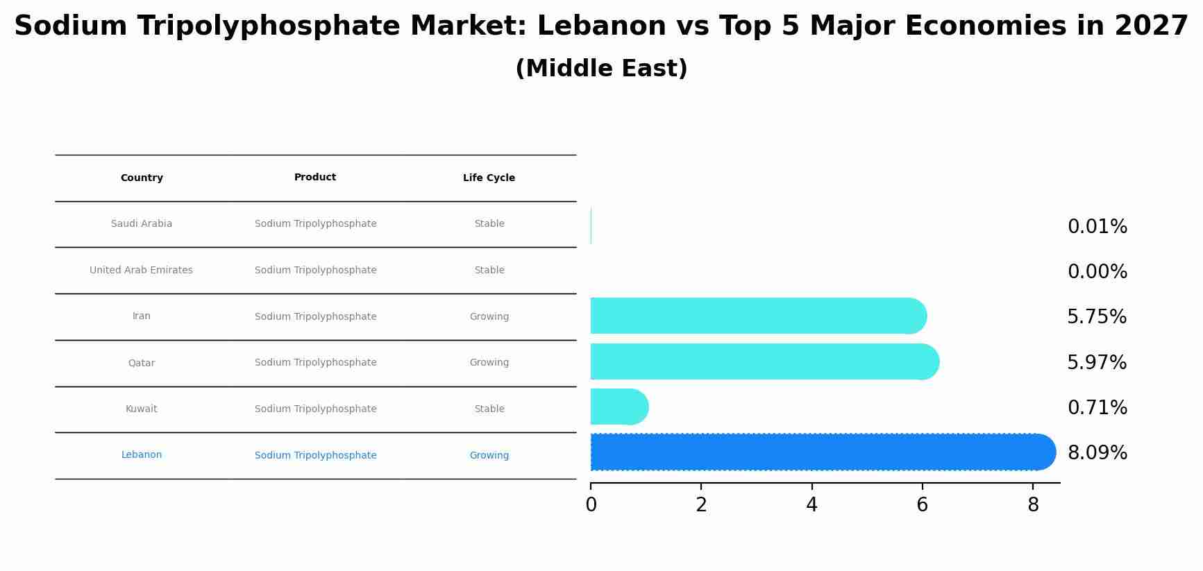 Sodium Tripolyphosphate Market: Lebanon vs Top 5 Major Economies in 2027 (Middle East)