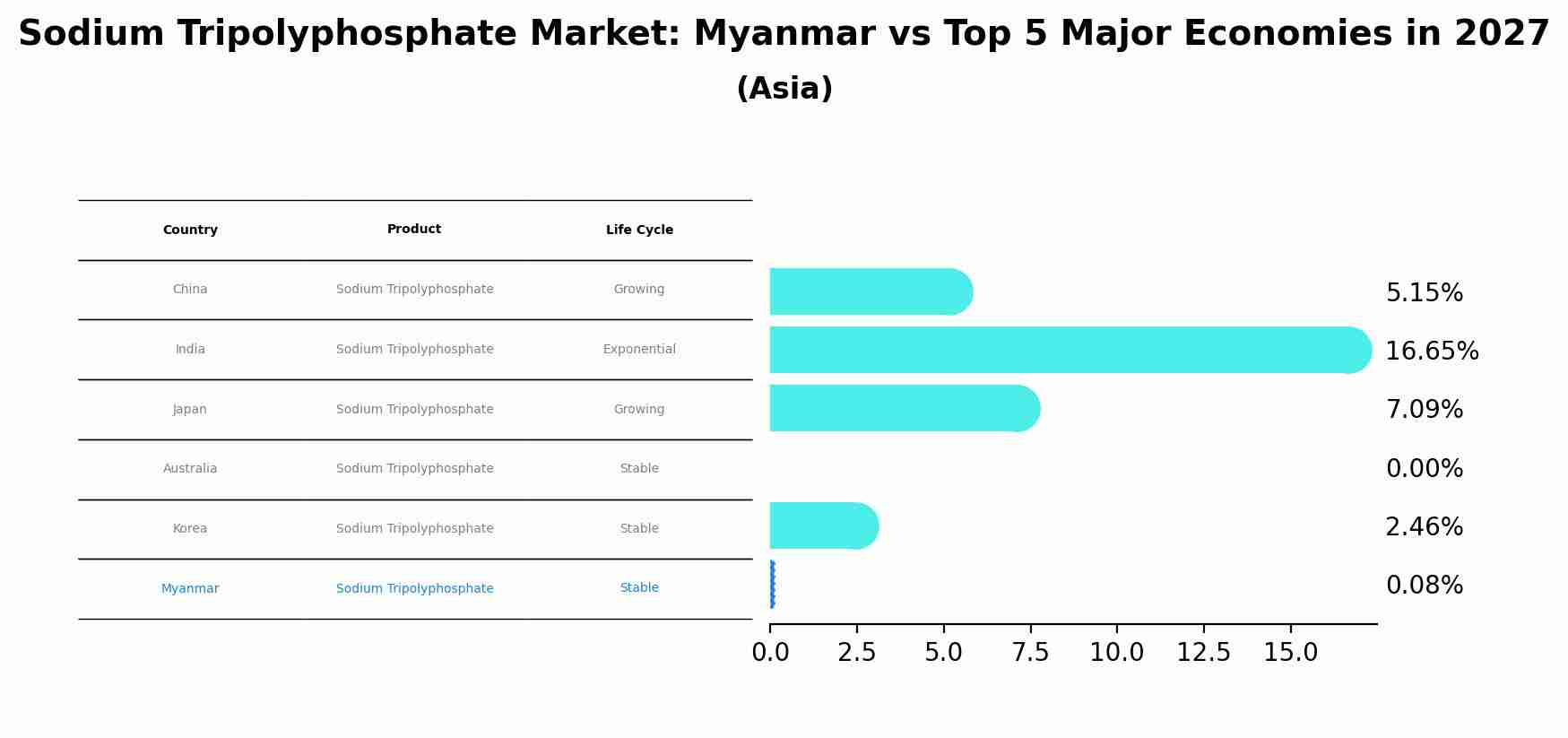 Sodium Tripolyphosphate Market: Myanmar vs Top 5 Major Economies in 2027 (Asia)