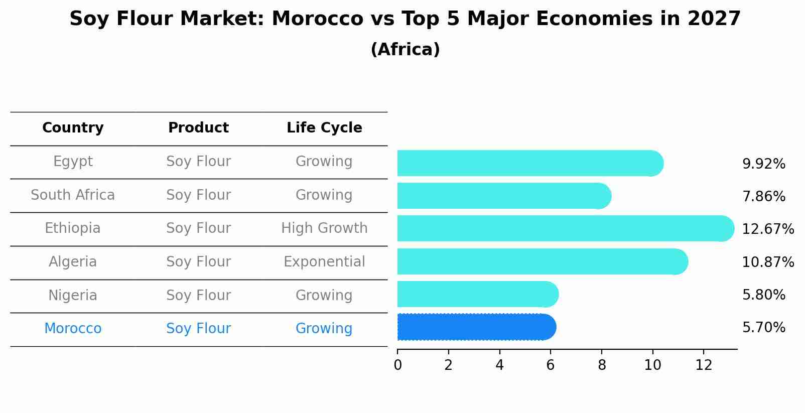 Soy Flour Market: Morocco vs Top 5 Major Economies in 2027 (Africa)