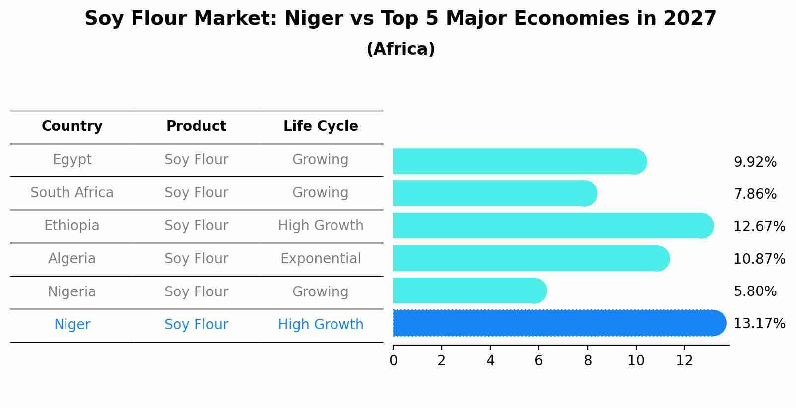 Soy Flour Market: Niger vs Top 5 Major Economies in 2027 (Africa)