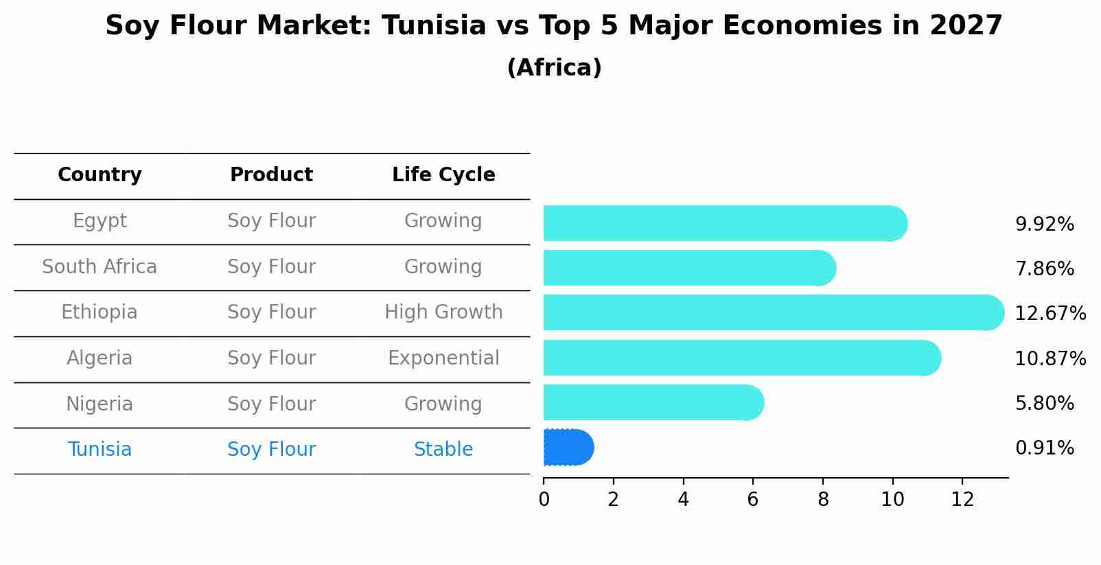 Soy Flour Market: Tunisia vs Top 5 Major Economies in 2027 (Africa)
