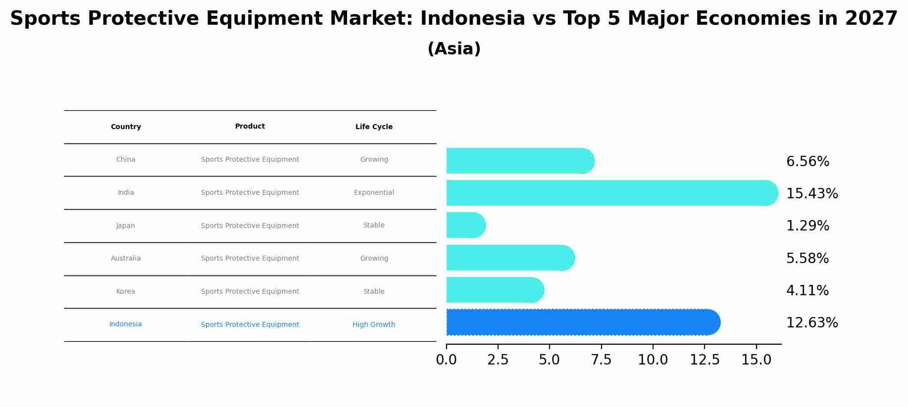 Sports Protective Equipment Market: Indonesia vs Top 5 Major Economies in 2027 (Asia)