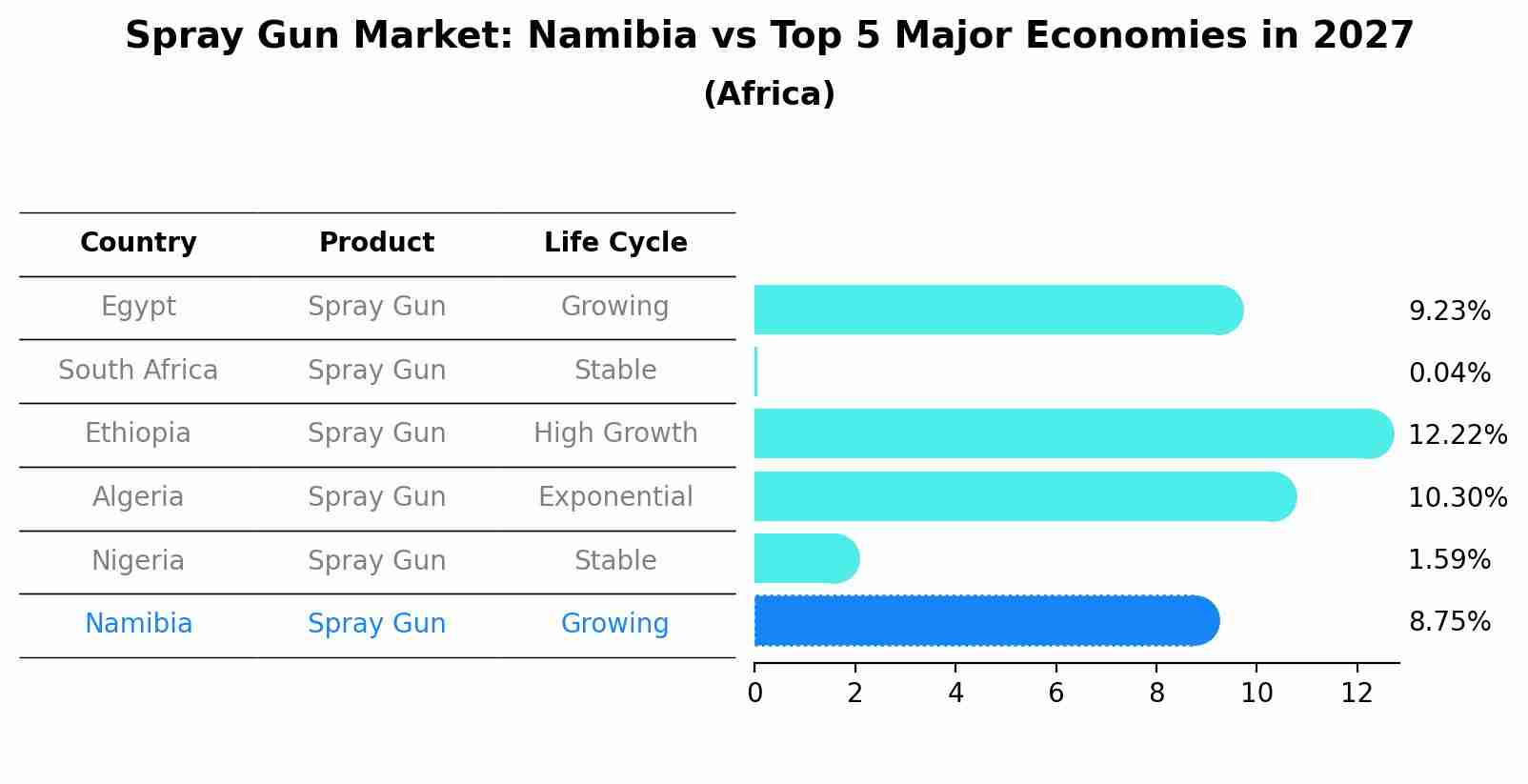 Spray Gun Market: Namibia vs Top 5 Major Economies in 2027 (Africa)
