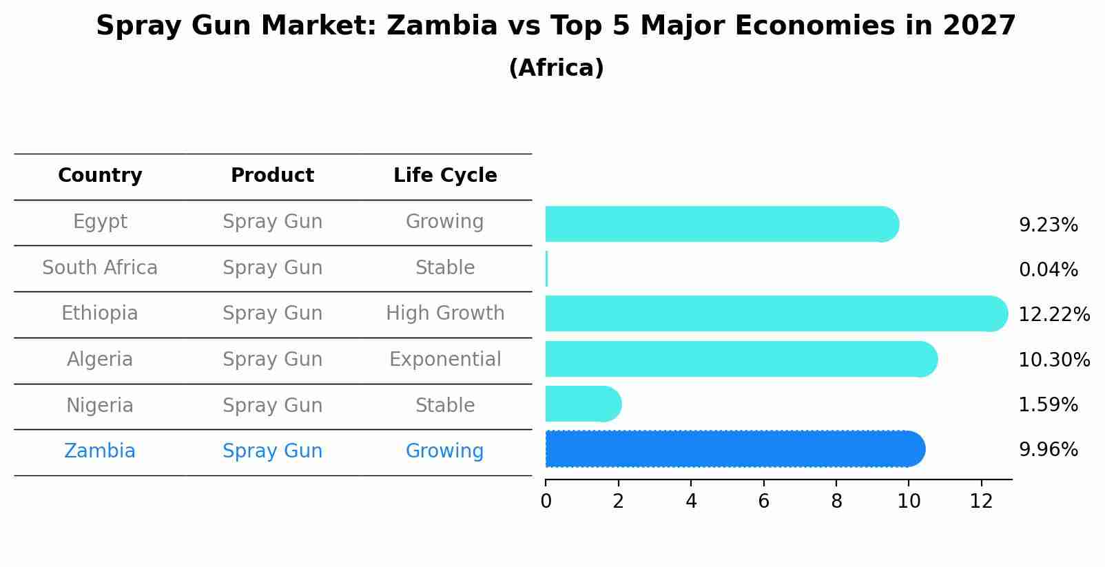 Spray Gun Market: Zambia vs Top 5 Major Economies in 2027 (Africa)