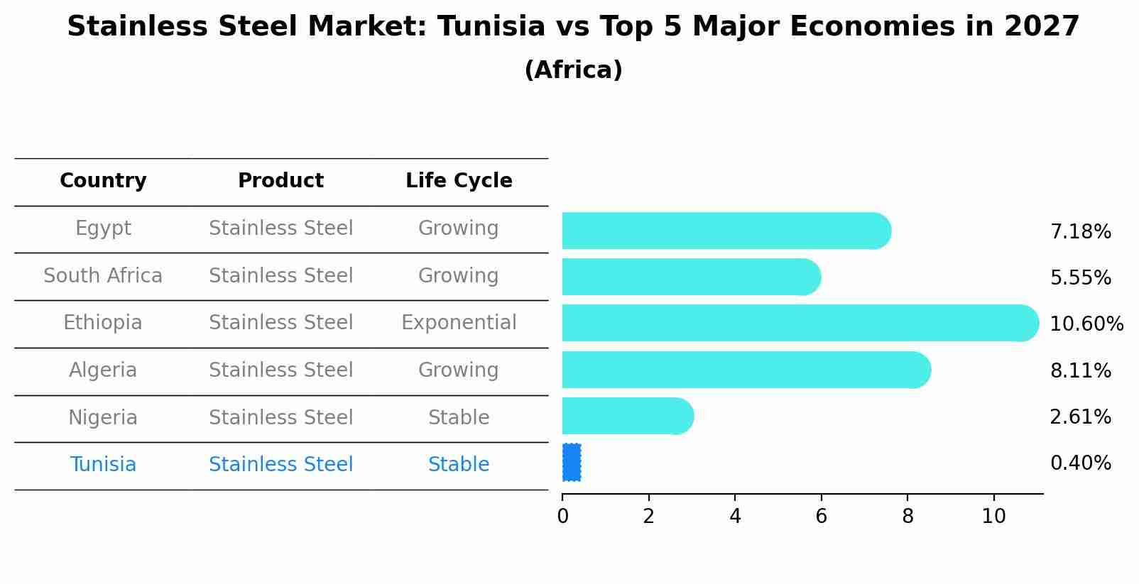 Stainless Steel Market: Tunisia vs Top 5 Major Economies in 2027 (Africa)
