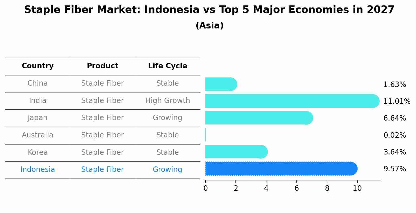 Staple Fiber Market: Indonesia vs Top 5 Major Economies in 2027 (Asia)