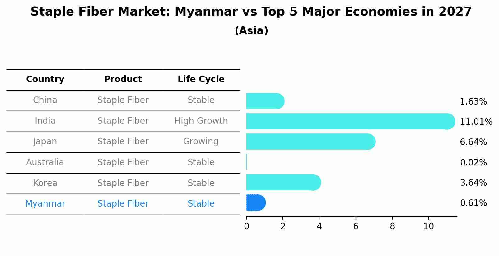 Staple Fiber Market: Myanmar vs Top 5 Major Economies in 2027 (Asia)