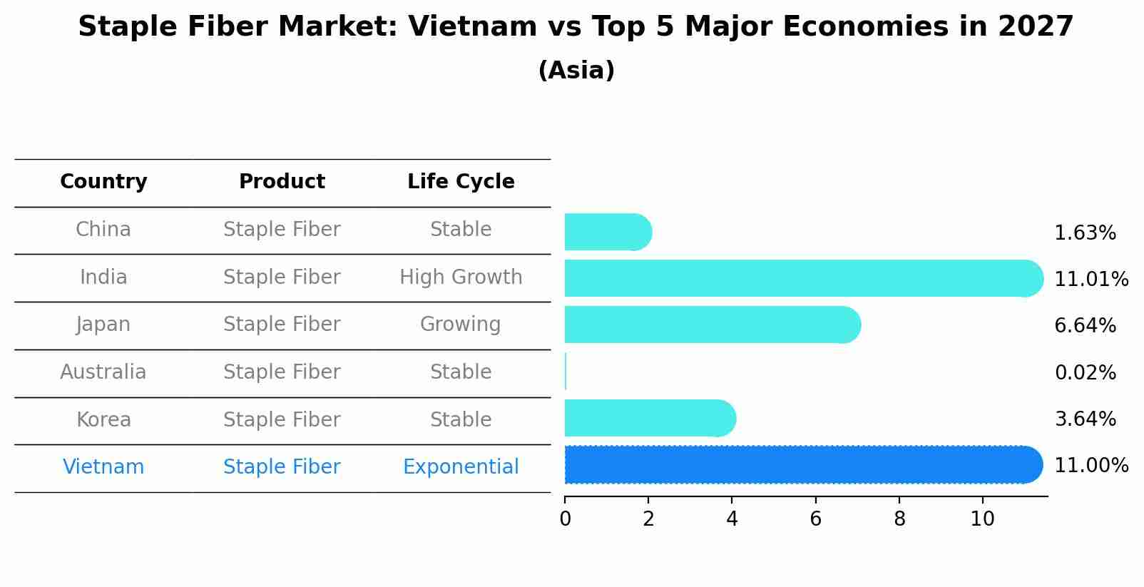 Staple Fiber Market: Vietnam vs Top 5 Major Economies in 2027 (Asia)