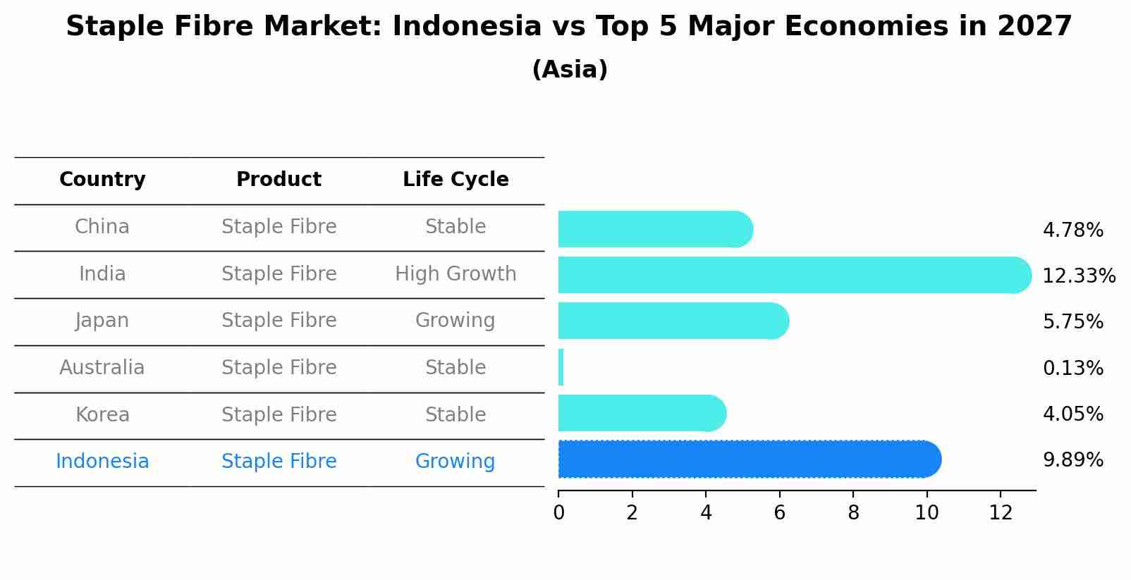 Staple Fibre Market: Indonesia vs Top 5 Major Economies in 2027 (Asia)