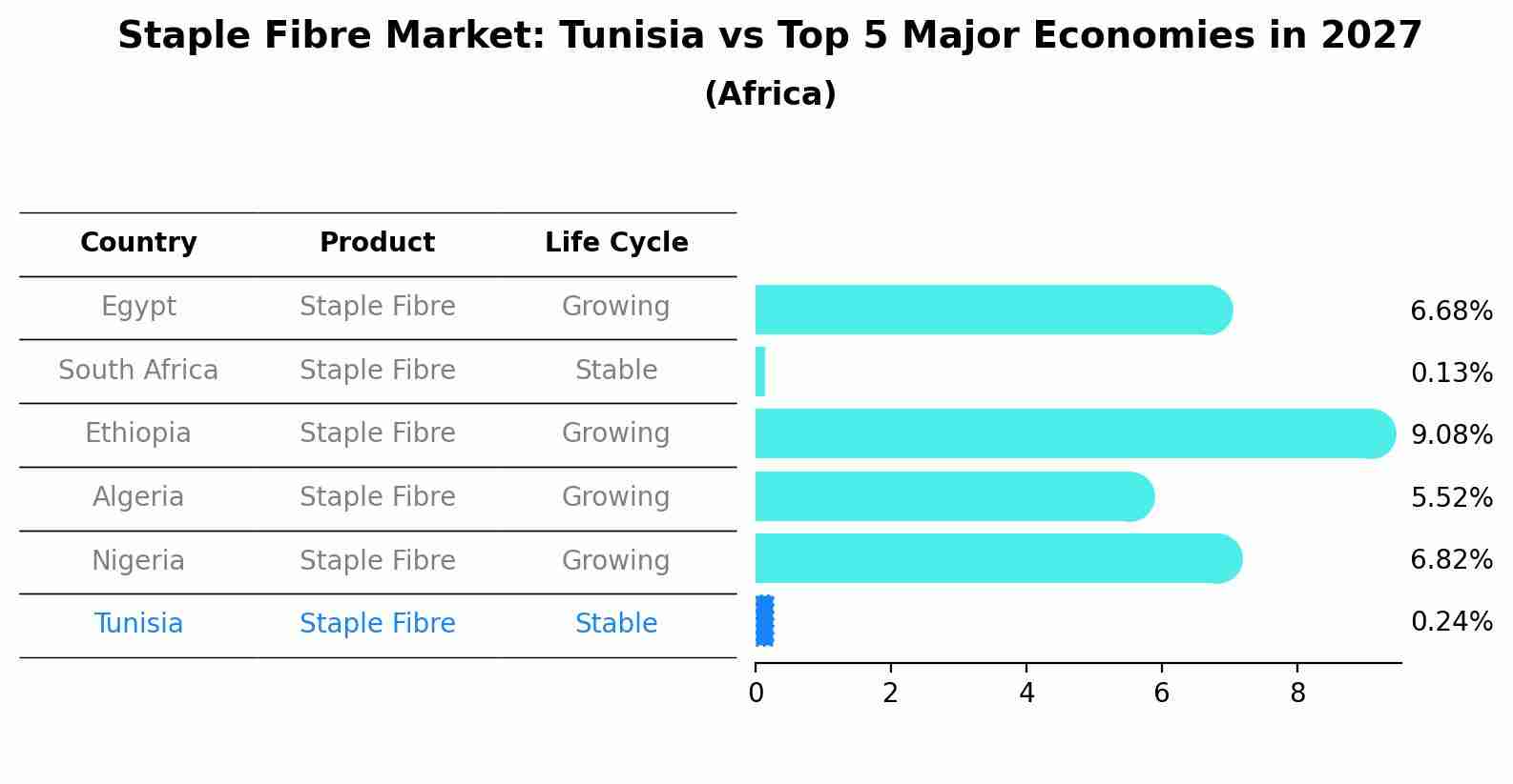 Staple Fibre Market: Tunisia vs Top 5 Major Economies in 2027 (Africa)