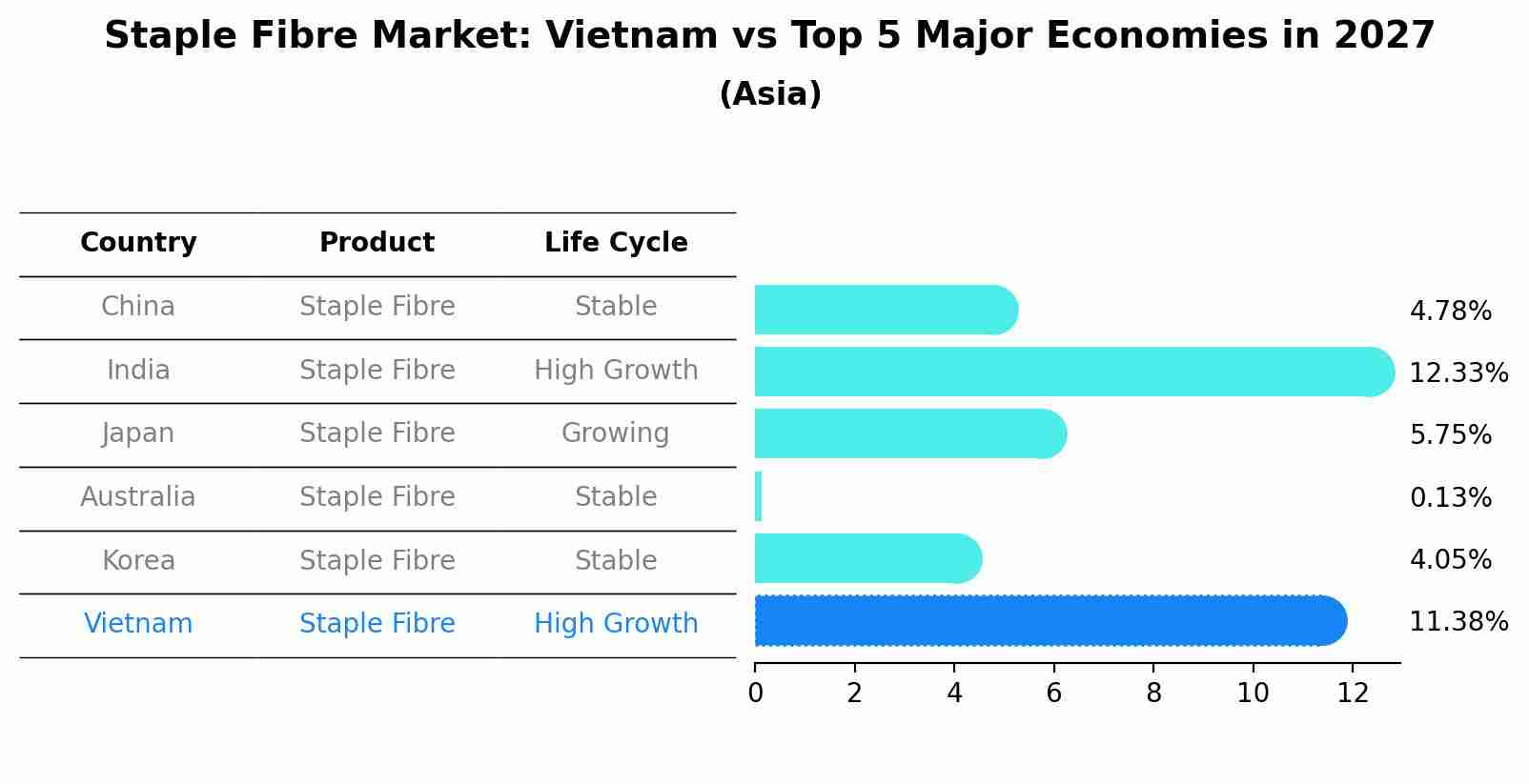 Staple Fibre Market: Vietnam vs Top 5 Major Economies in 2027 (Asia)