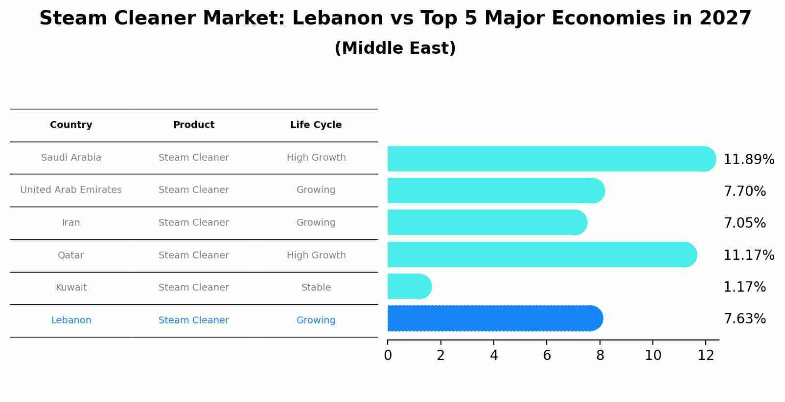 Steam Cleaner Market: Lebanon vs Top 5 Major Economies in 2027 (Middle East)