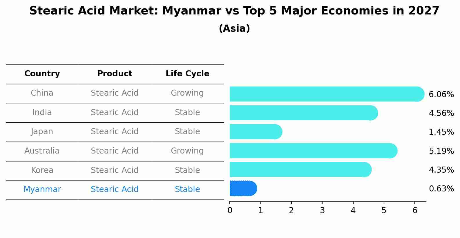 Stearic Acid Market: Myanmar vs Top 5 Major Economies in 2027 (Asia)