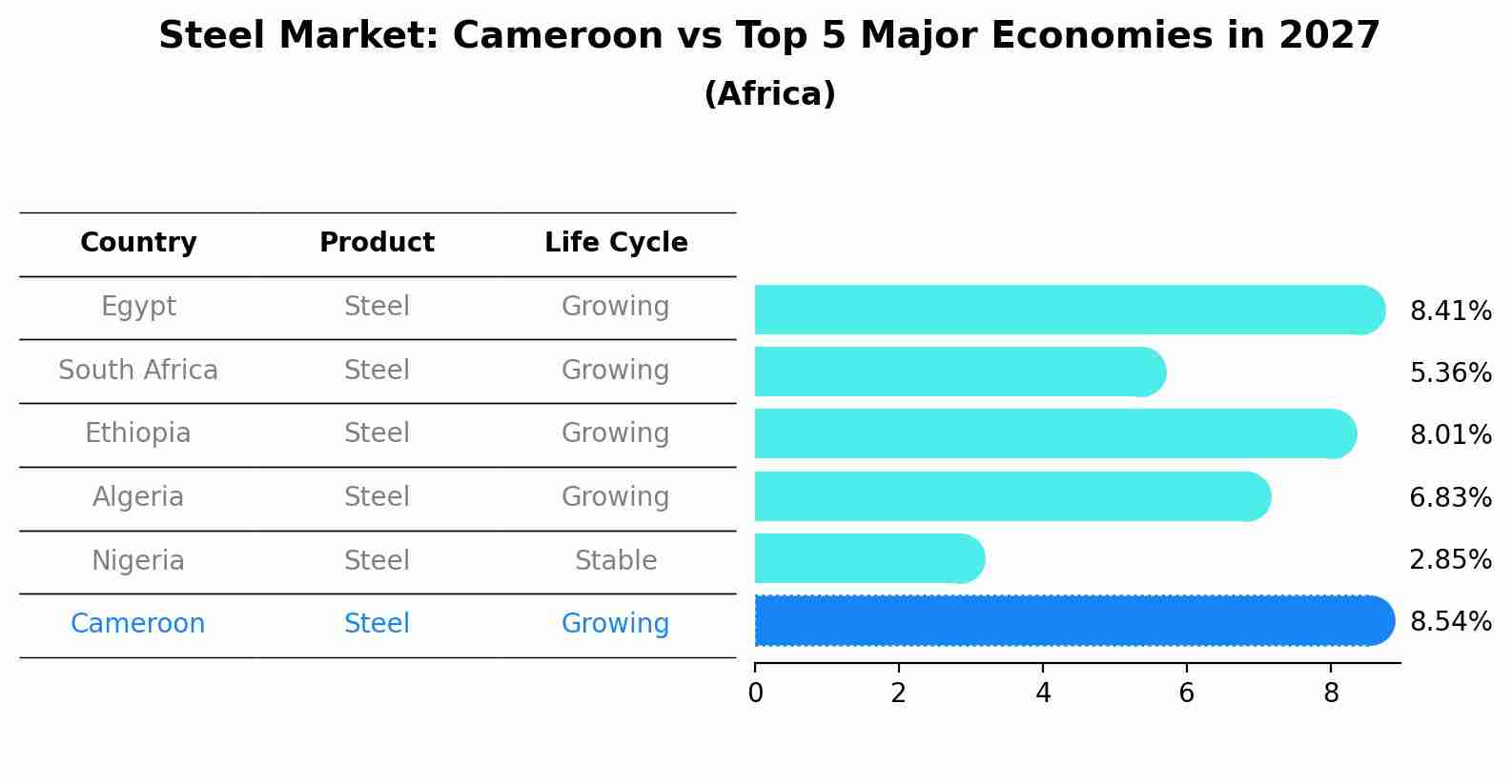 Steel Market: Cameroon vs Top 5 Major Economies in 2027 (Africa)