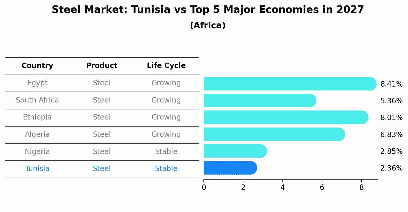 Steel Market: Tunisia vs Top 5 Major Economies in 2027 (Africa)