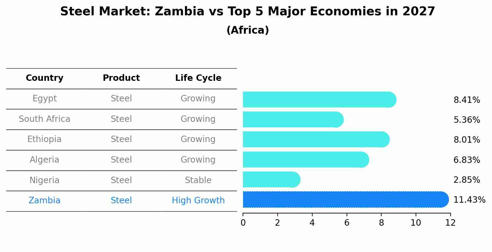Steel Market: Zambia vs Top 5 Major Economies in 2027 (Africa)