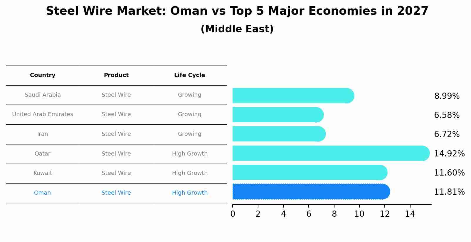 Steel Wire Market: Oman vs Top 5 Major Economies in 2027 (Middle East)