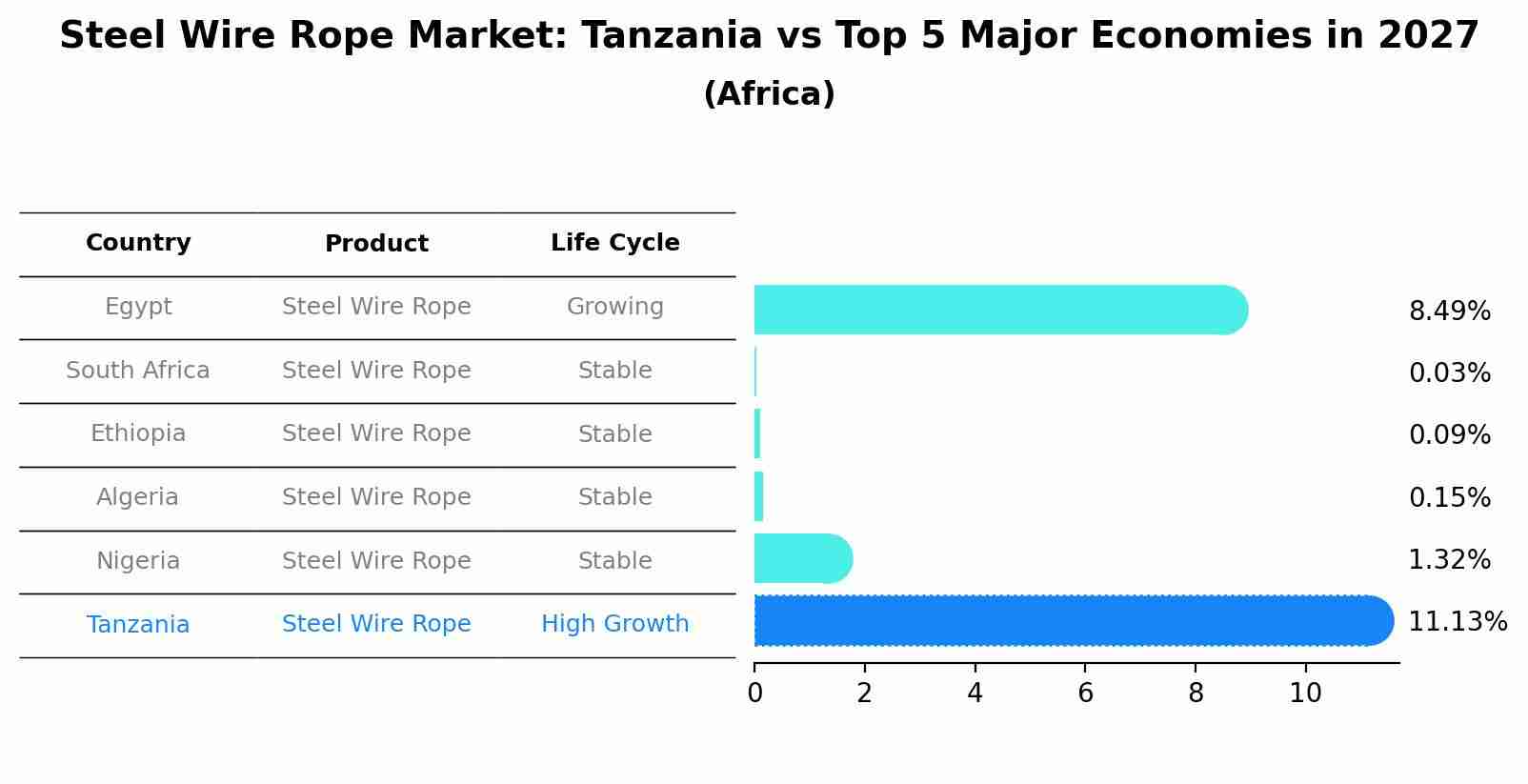 Steel Wire Rope Market: Tanzania vs Top 5 Major Economies in 2027 (Africa)