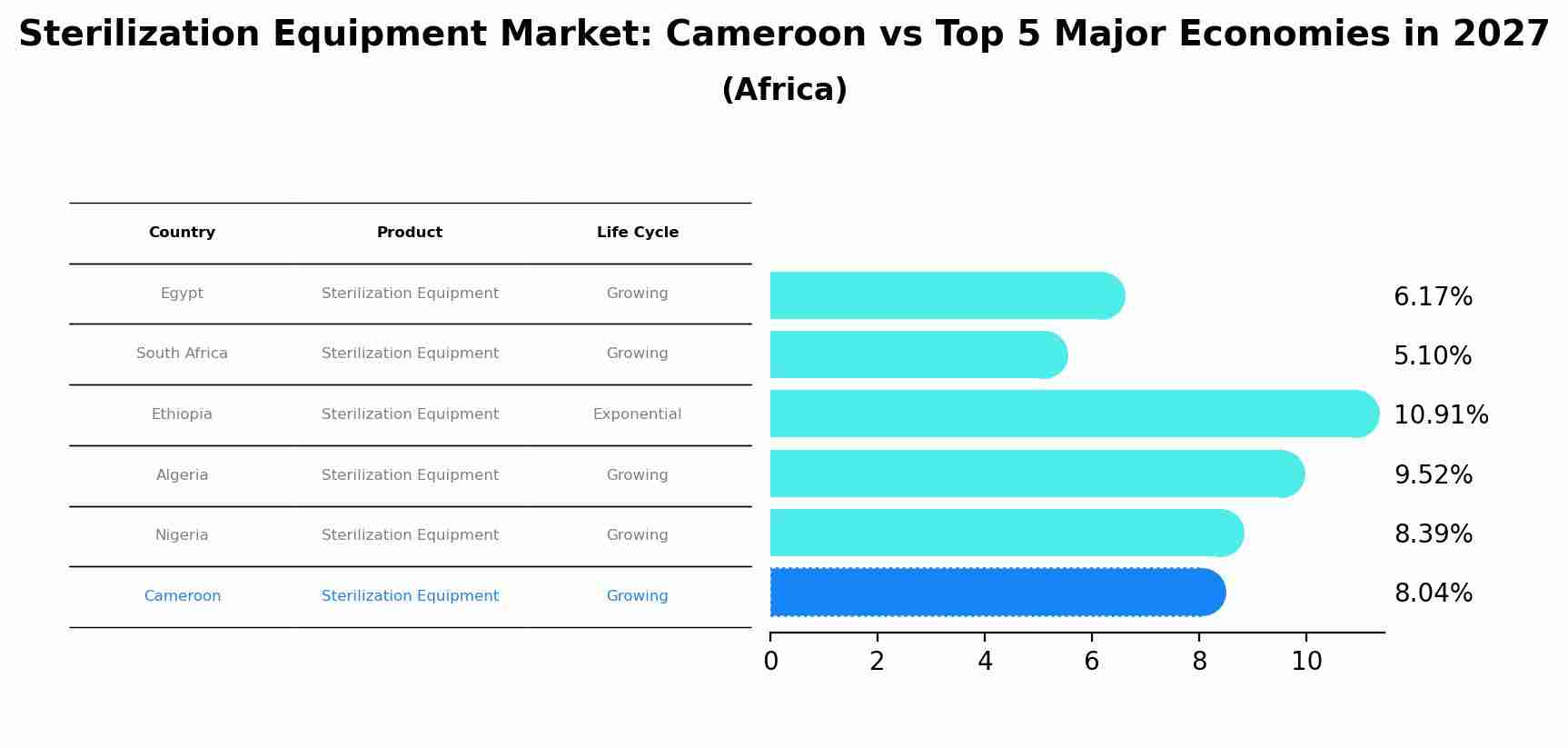 Sterilization Equipment Market: Cameroon vs Top 5 Major Economies in 2027 (Africa)