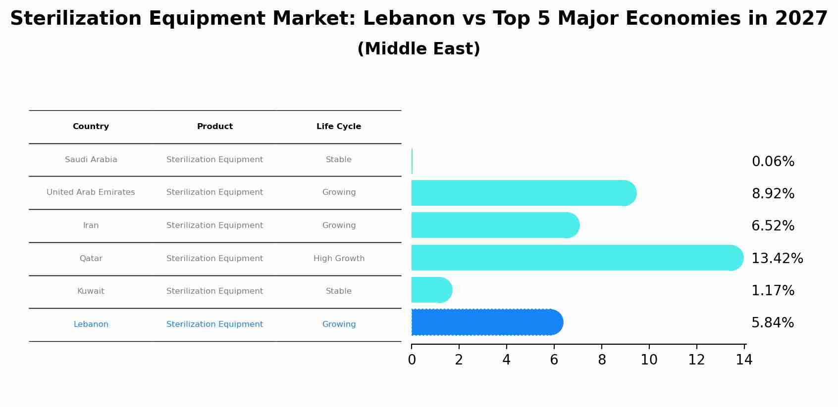 Sterilization Equipment Market: Lebanon vs Top 5 Major Economies in 2027 (Middle East)