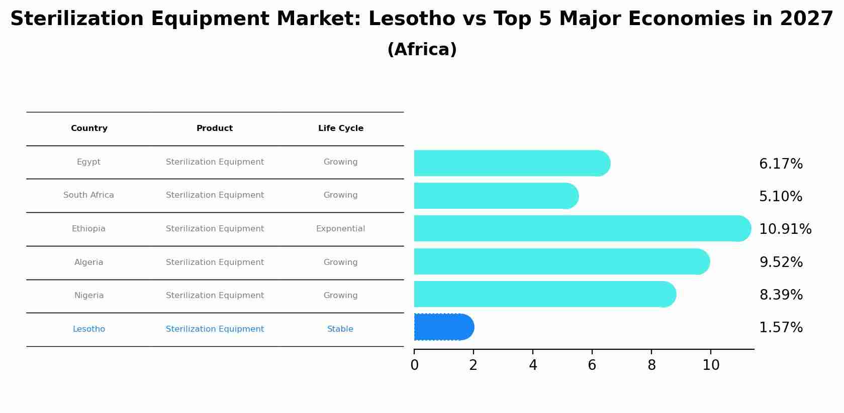 Sterilization Equipment Market: Lesotho vs Top 5 Major Economies in 2027 (Africa)
