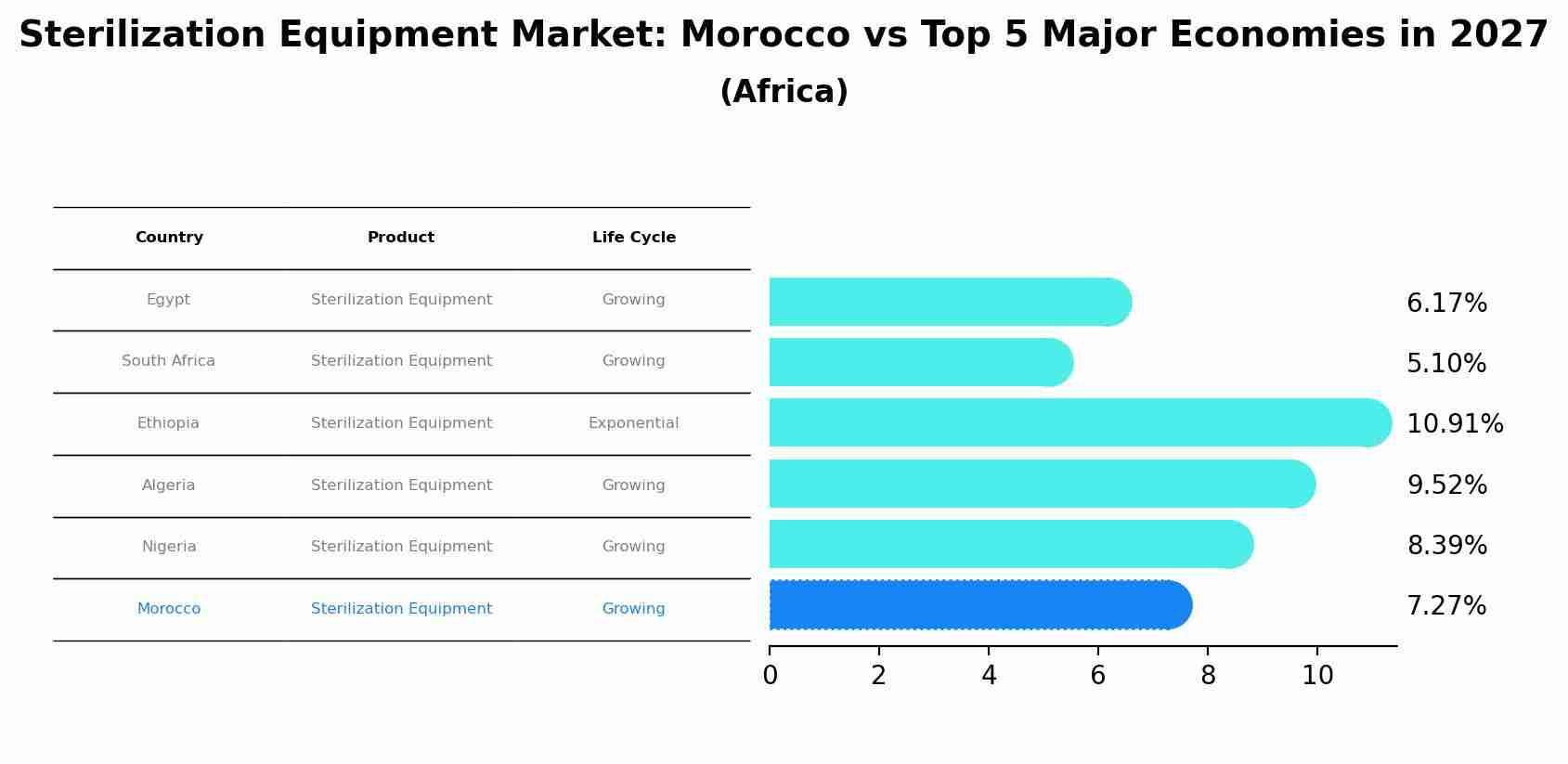 Sterilization Equipment Market: Morocco vs Top 5 Major Economies in 2027 (Africa)