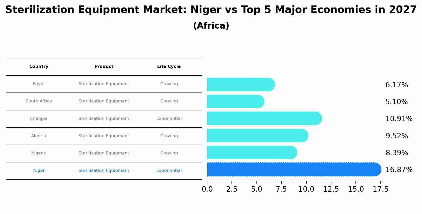 Sterilization Equipment Market: Niger vs Top 5 Major Economies in 2027 (Africa)