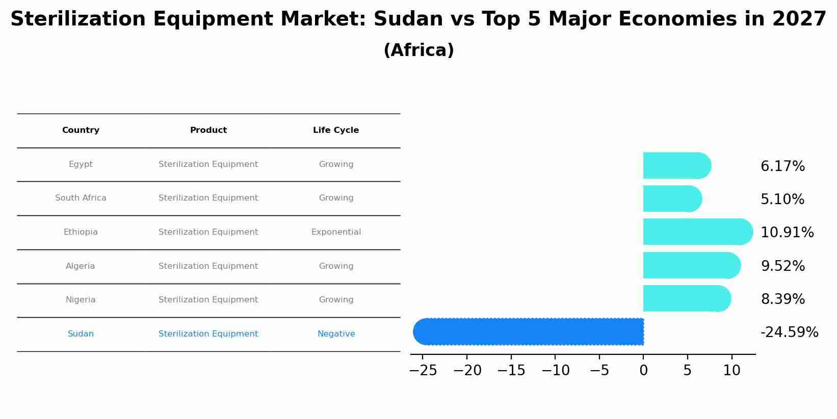 Sterilization Equipment Market: Sudan vs Top 5 Major Economies in 2027 (Africa)
