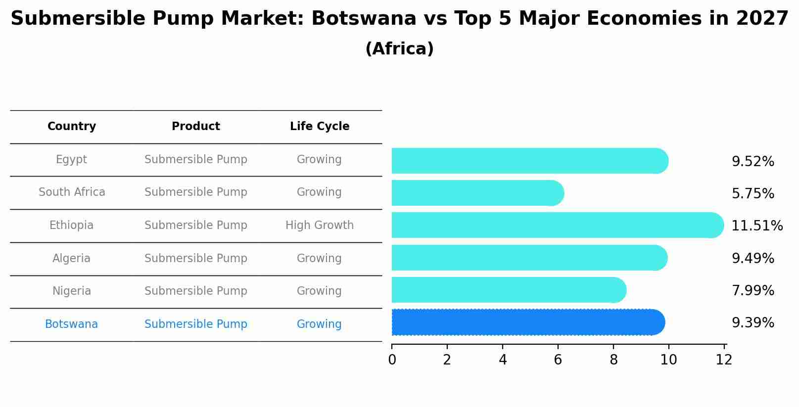 Submersible Pump Market: Botswana vs Top 5 Major Economies in 2027 (Africa)