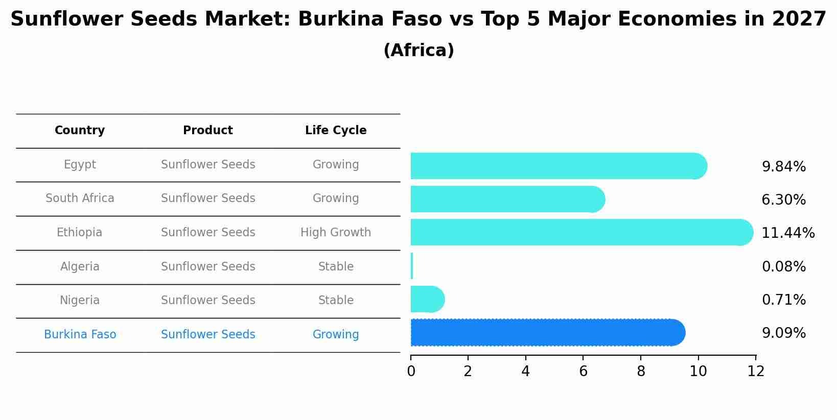 Sunflower Seeds Market: Burkina Faso vs Top 5 Major Economies in 2027 (Africa)
