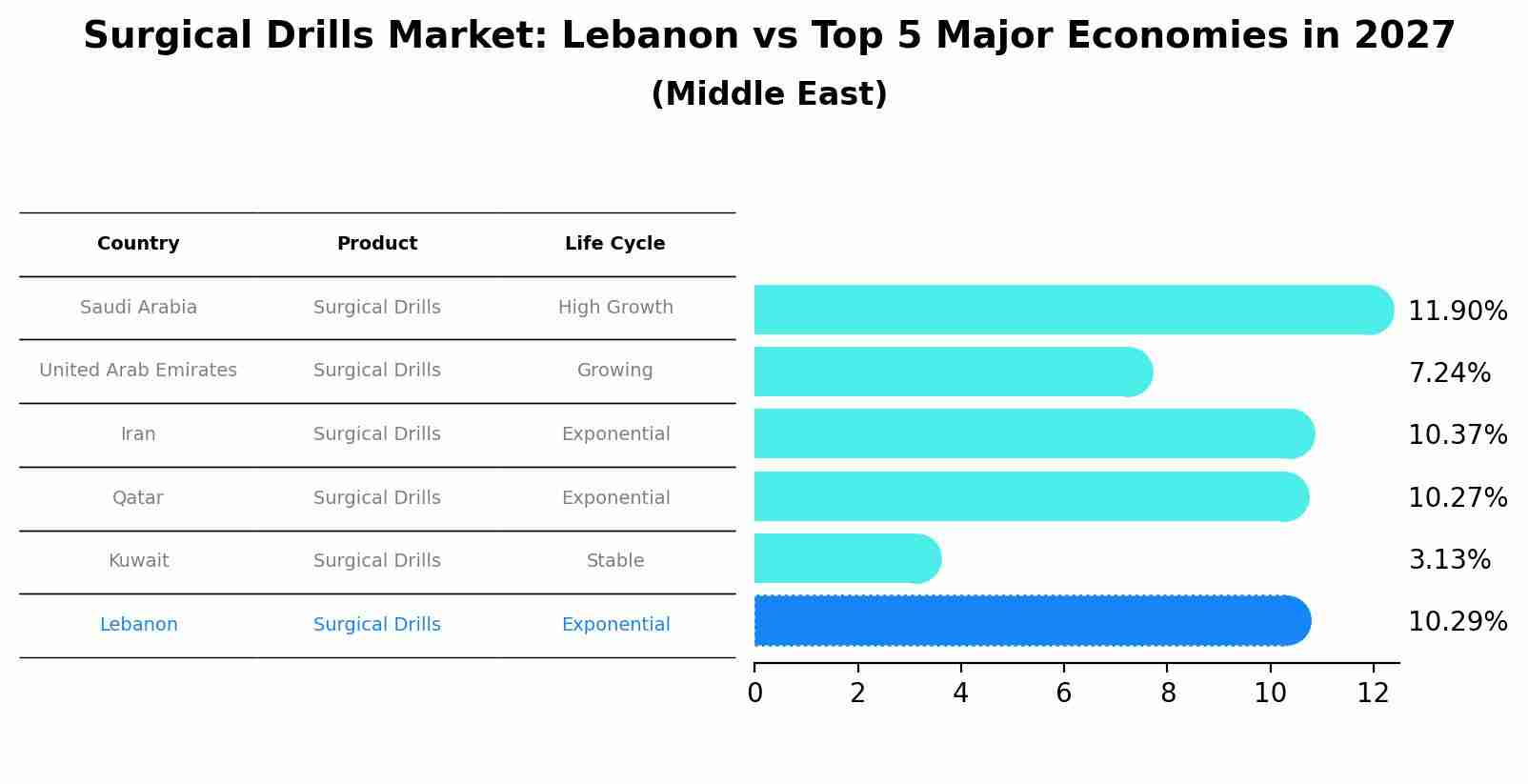 Surgical Drills Market: Lebanon vs Top 5 Major Economies in 2027 (Middle East)