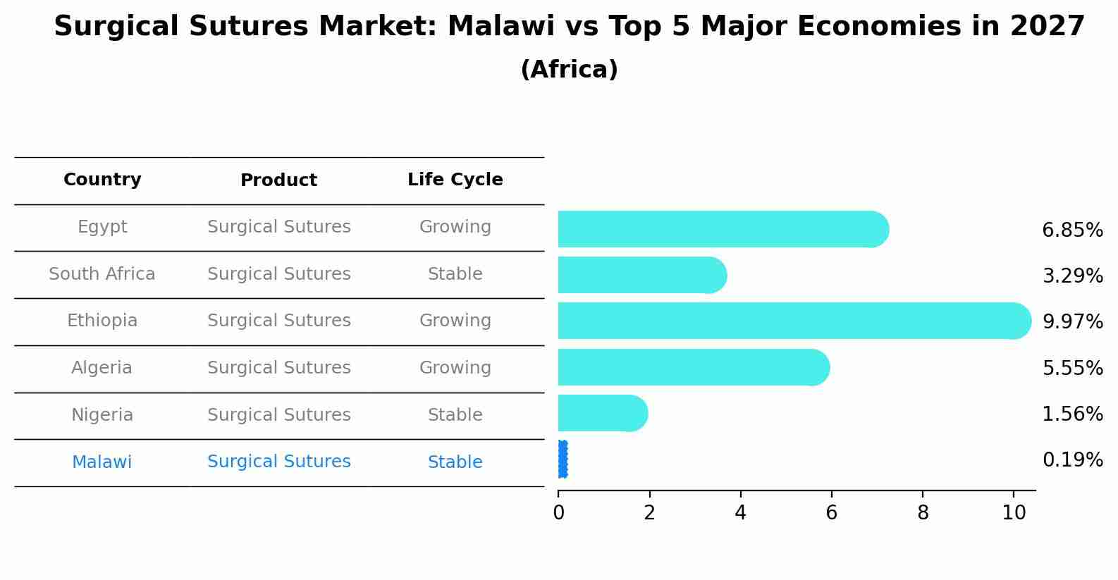 Surgical Sutures Market: Malawi vs Top 5 Major Economies in 2027 (Africa)