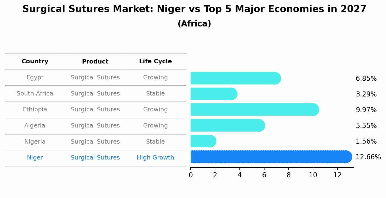 Surgical Sutures Market: Niger vs Top 5 Major Economies in 2027 (Africa)