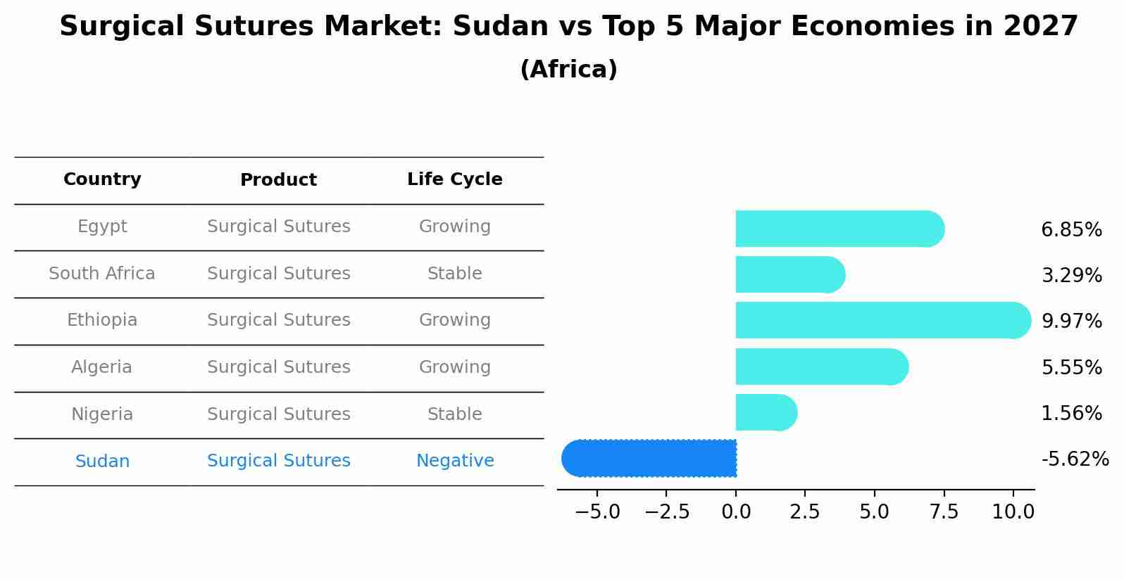 Surgical Sutures Market: Sudan vs Top 5 Major Economies in 2027 (Africa)