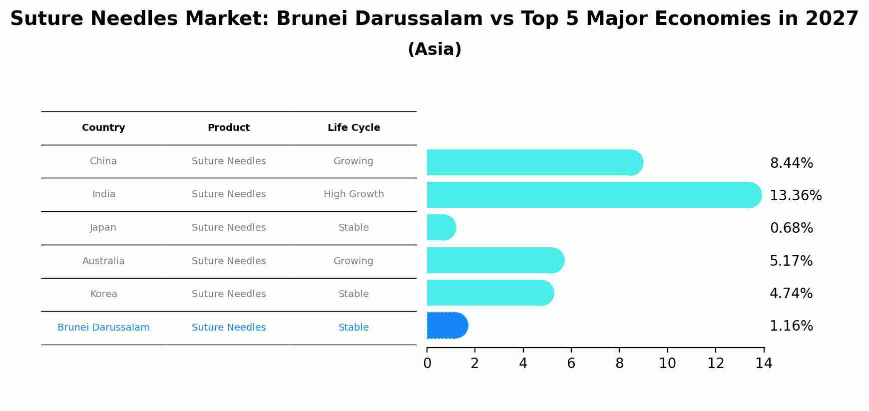 Suture Needles Market: Brunei Darussalam vs Top 5 Major Economies in 2027 (Asia)