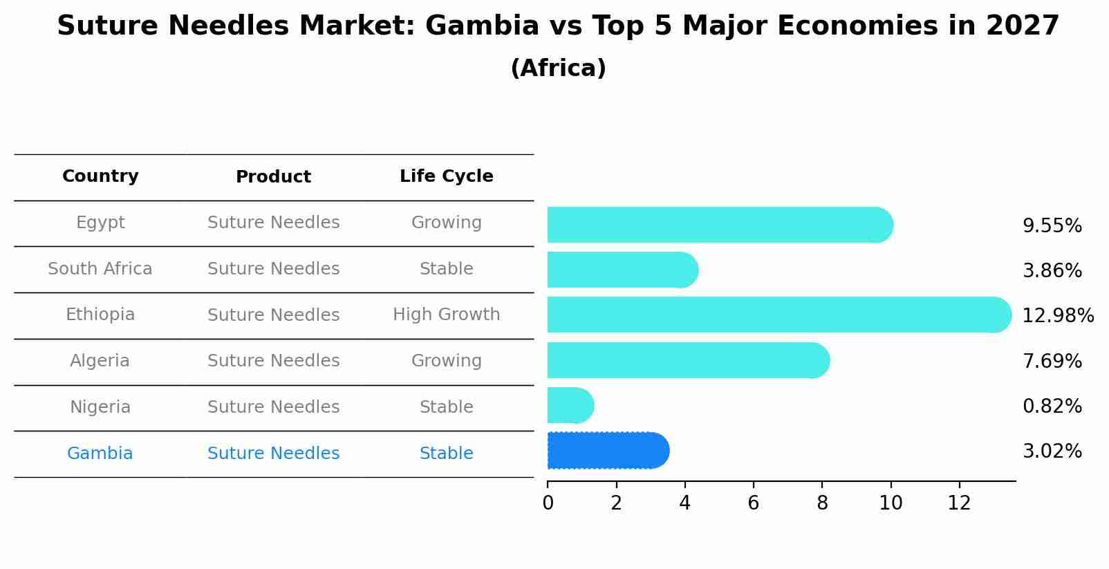Suture Needles Market: Gambia vs Top 5 Major Economies in 2027 (Africa)