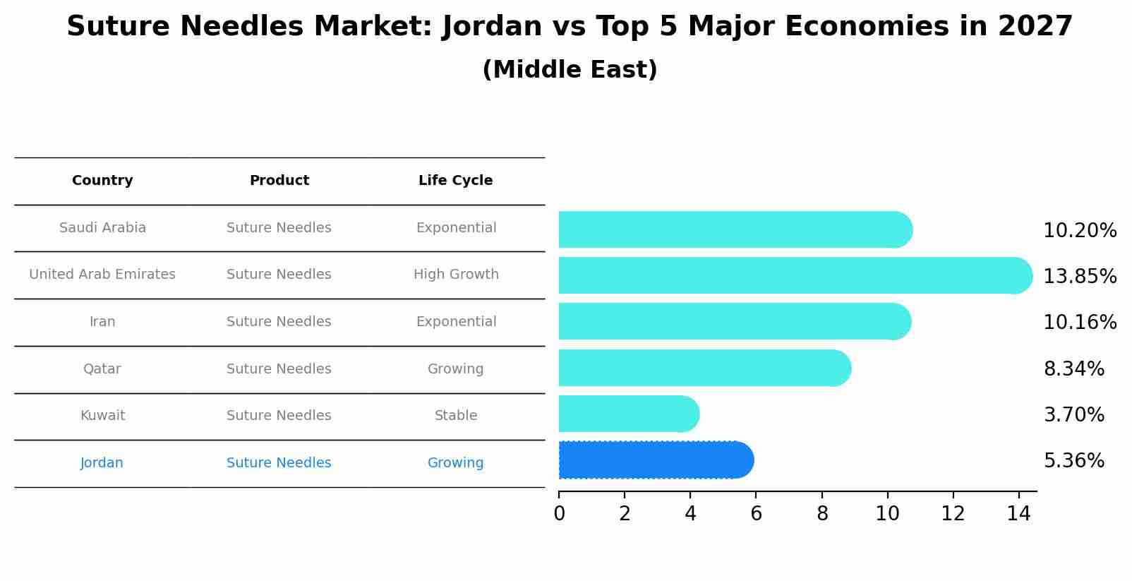 Suture Needles Market: Jordan vs Top 5 Major Economies in 2027 (Middle East)