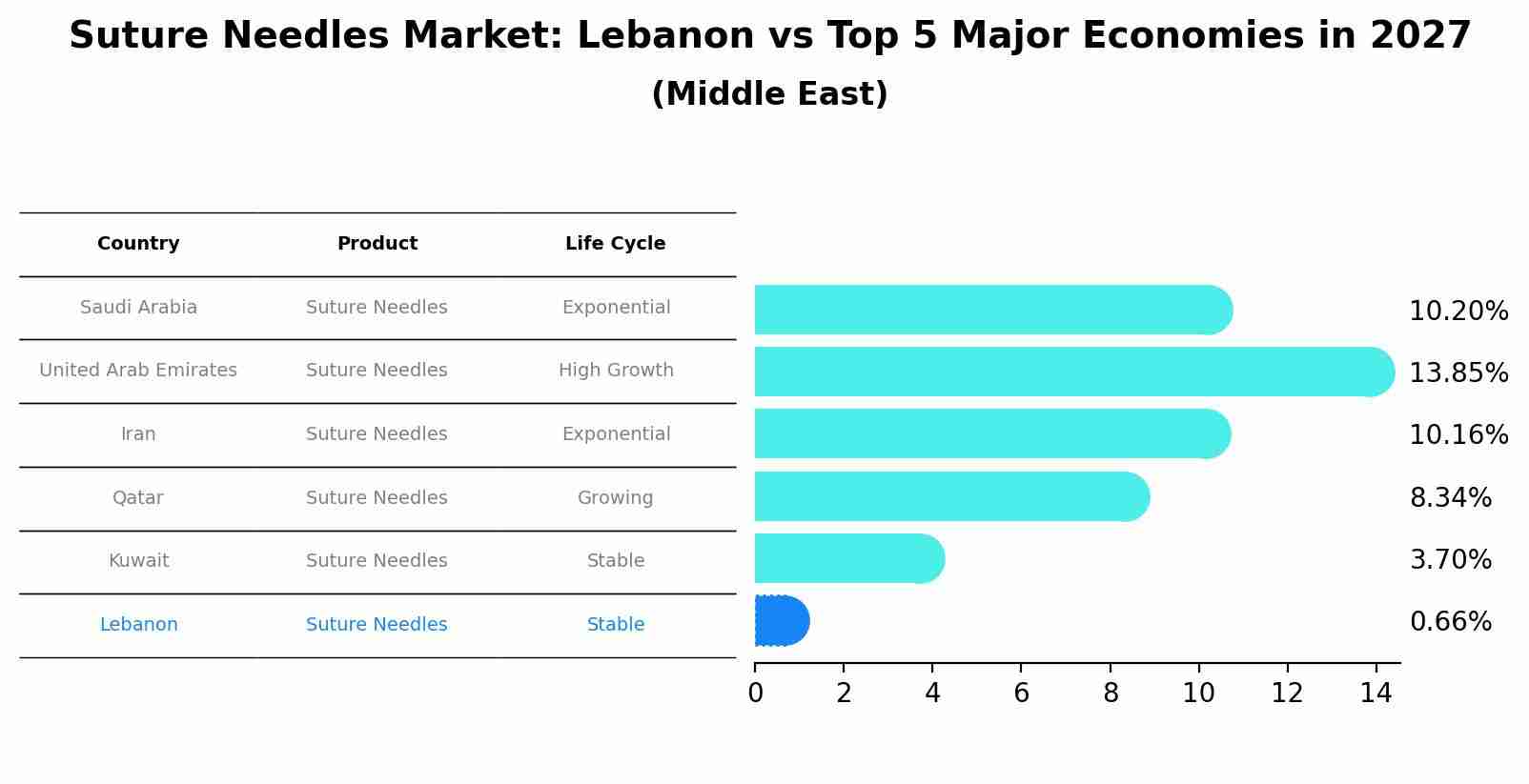Suture Needles Market: Lebanon vs Top 5 Major Economies in 2027 (Middle East)
