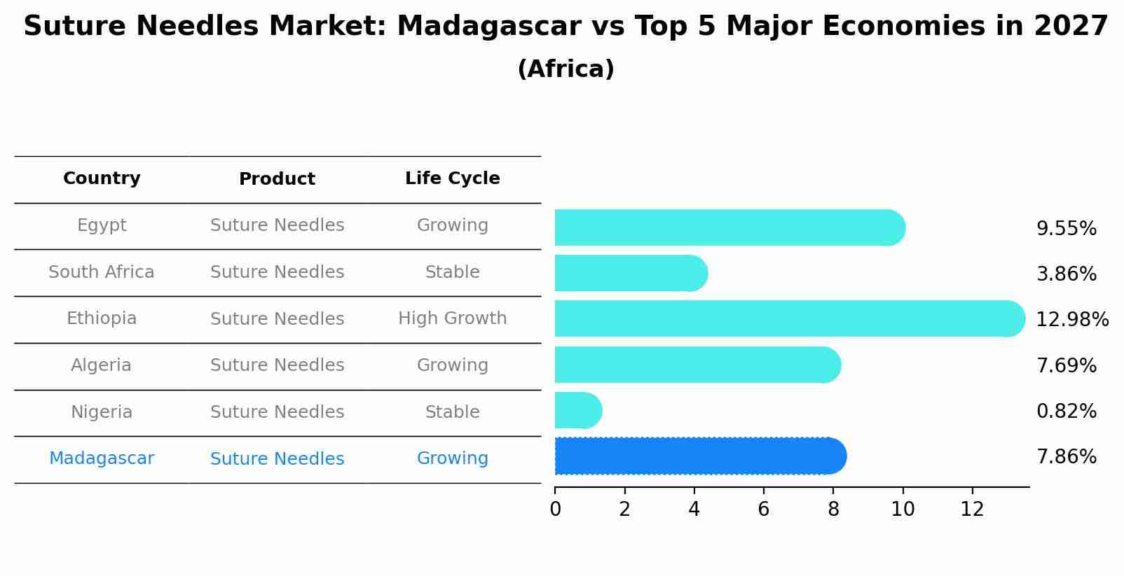 Suture Needles Market: Madagascar vs Top 5 Major Economies in 2027 (Africa)