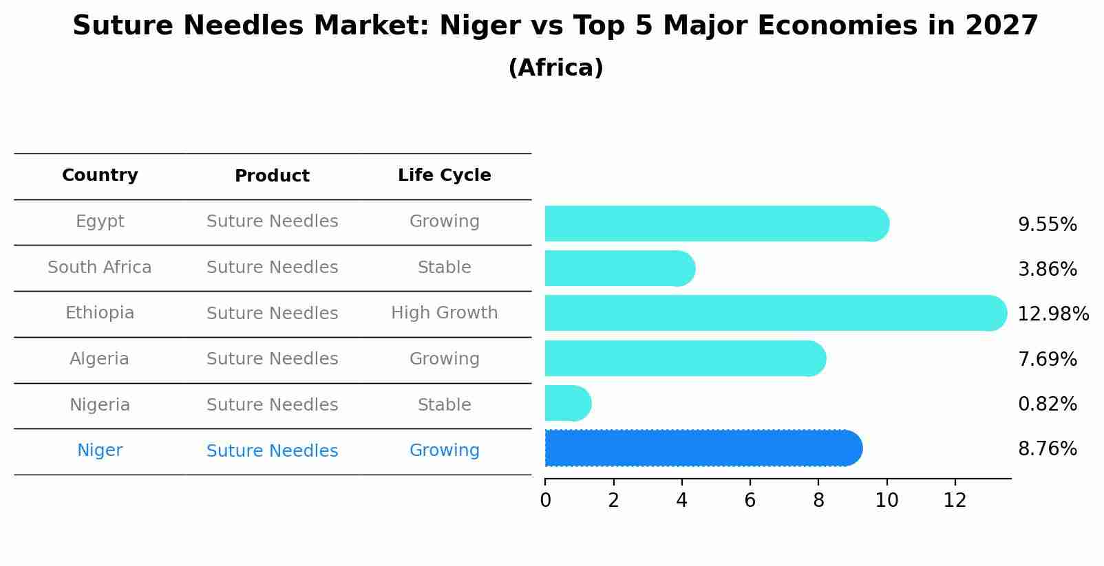 Suture Needles Market: Niger vs Top 5 Major Economies in 2027 (Africa)