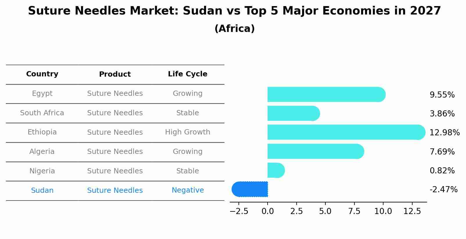 Suture Needles Market: Sudan vs Top 5 Major Economies in 2027 (Africa)