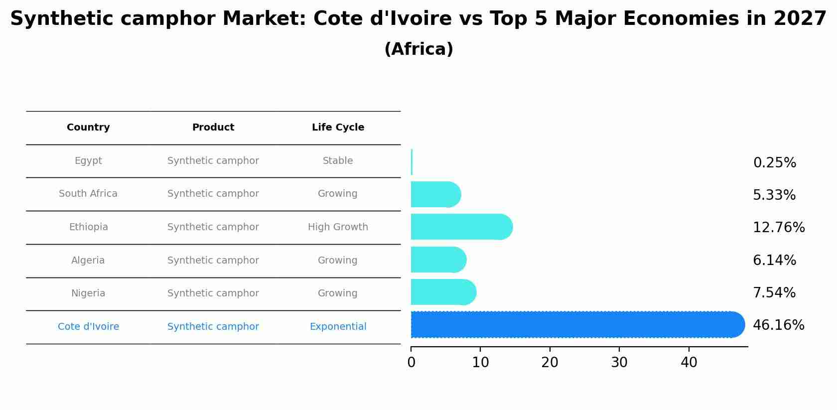 Synthetic camphor Market: Cote d'Ivoire vs Top 5 Major Economies in 2027 (Africa)