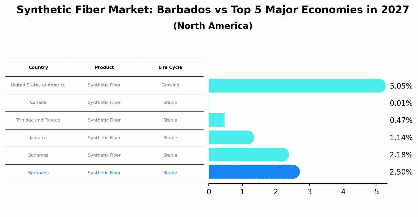 Synthetic Fiber Market: Barbados vs Top 5 Major Economies in 2027 (North America)