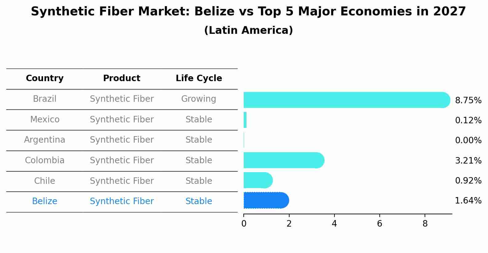 Synthetic Fiber Market: Belize vs Top 5 Major Economies in 2027 (Latin America)