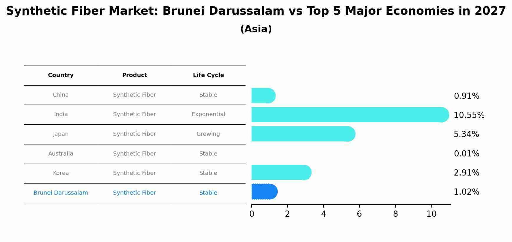Synthetic Fiber Market: Brunei Darussalam vs Top 5 Major Economies in 2027 (Asia)