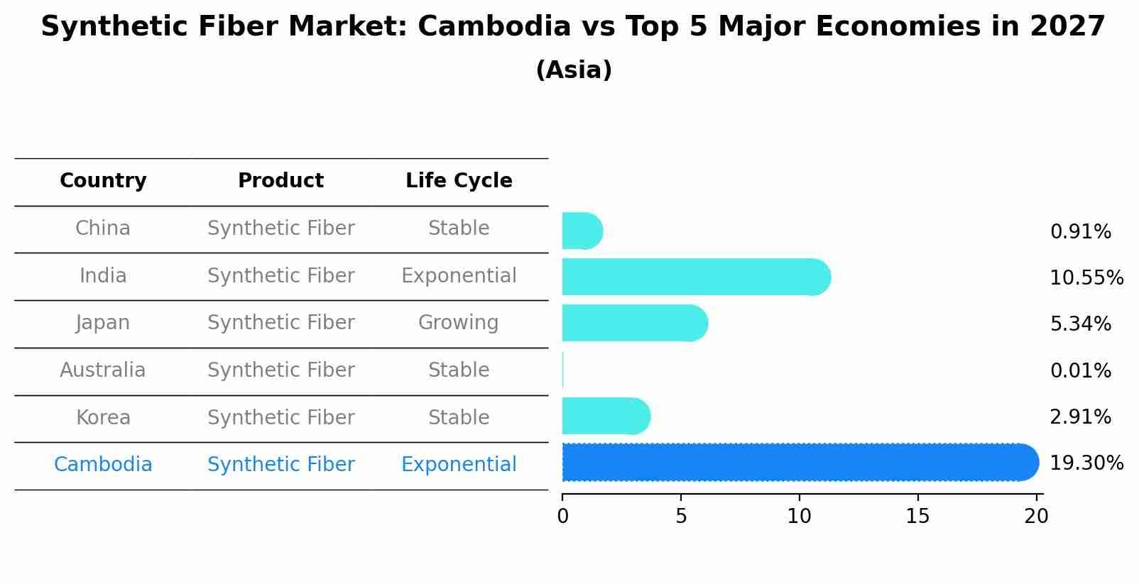 Synthetic Fiber Market: Cambodia vs Top 5 Major Economies in 2027 (Asia)
