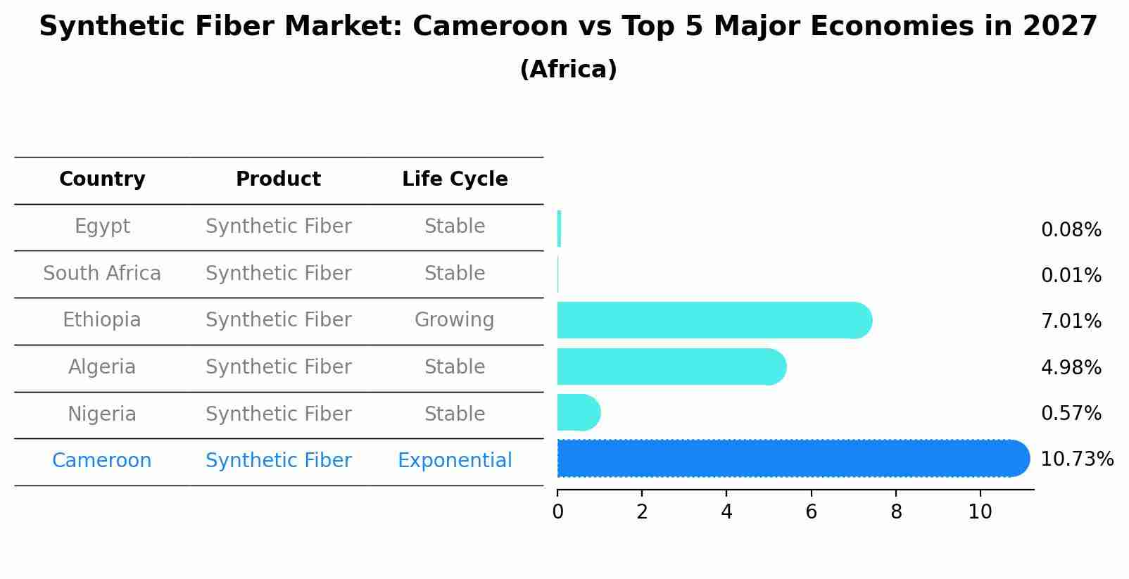 Synthetic Fiber Market: Cameroon vs Top 5 Major Economies in 2027 (Africa)