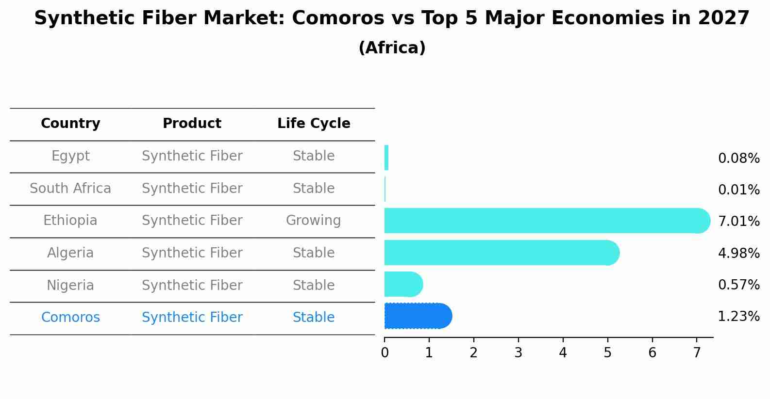 Synthetic Fiber Market: Comoros vs Top 5 Major Economies in 2027 (Africa)